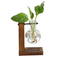 Sikunuo | Terrarium Hydroponic Vintage Tabletop Vase