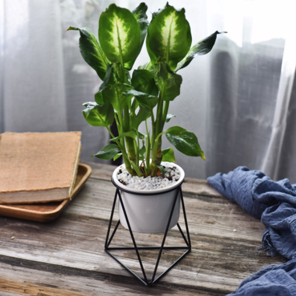 Sikunuo | Nordic Style Geometric Iron Rack Flower Pots