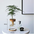 Sikunuo | Nordic Transparent Glass Wooden Flower Vase