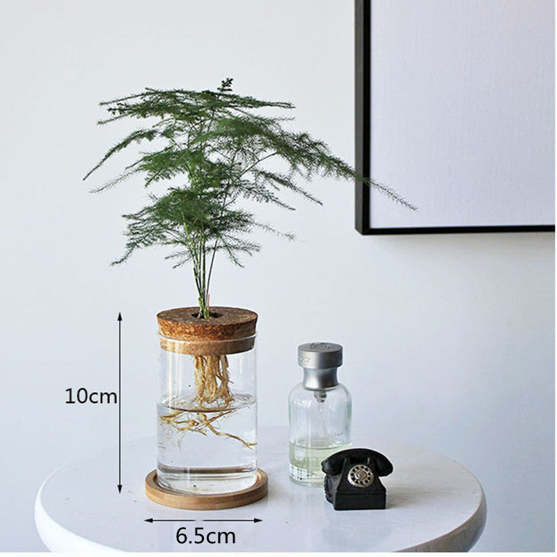 Sikunuo | Nordic Transparent Glass Wooden Flower Vase