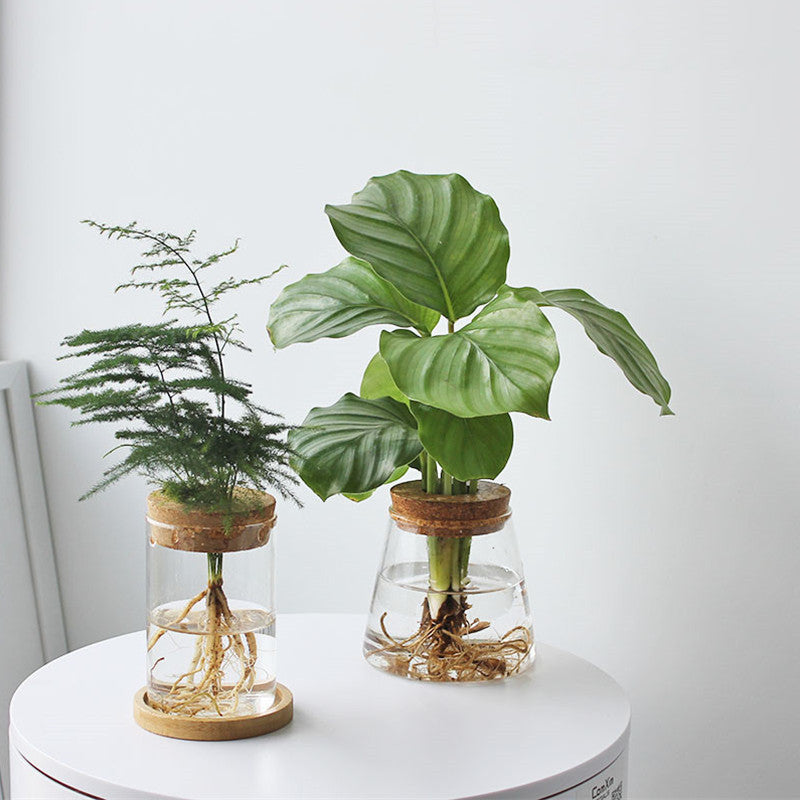 Sikunuo | Nordic Transparent Glass Wooden Flower Vase