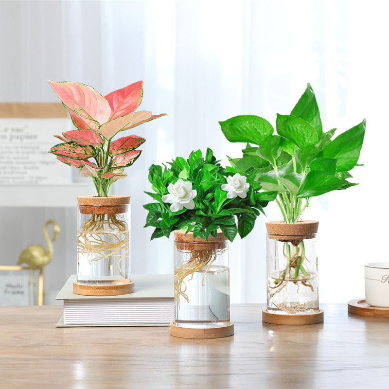 Sikunuo | Nordic Transparent Glass Wooden Flower Vase