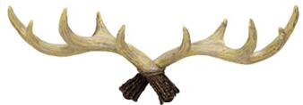 Sikunuo | Antlers Decorated Coat Hook
