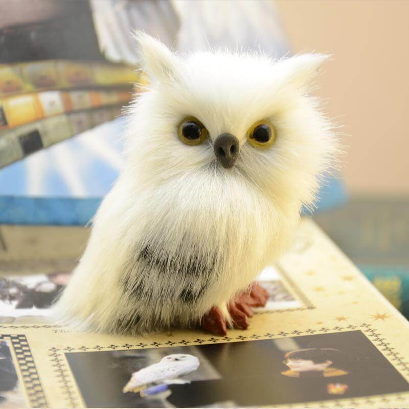 Sikunuo | Cute Owl Home Decor
