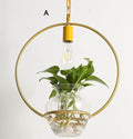 Sikunuo | Modern Decorative Hanging Lights