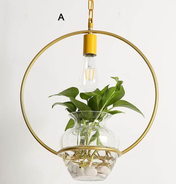 Sikunuo | Modern Decorative Hanging Lights