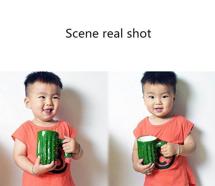 Sikunuo | 3D Cactus Style Ceramic Coffee Mugs