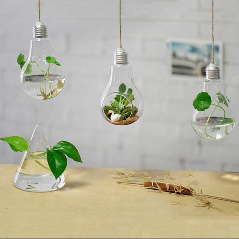 Sikunuo | Hanging lamp glass vase