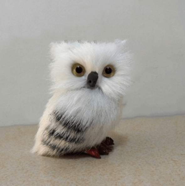 Sikunuo | Cute Owl Home Decor