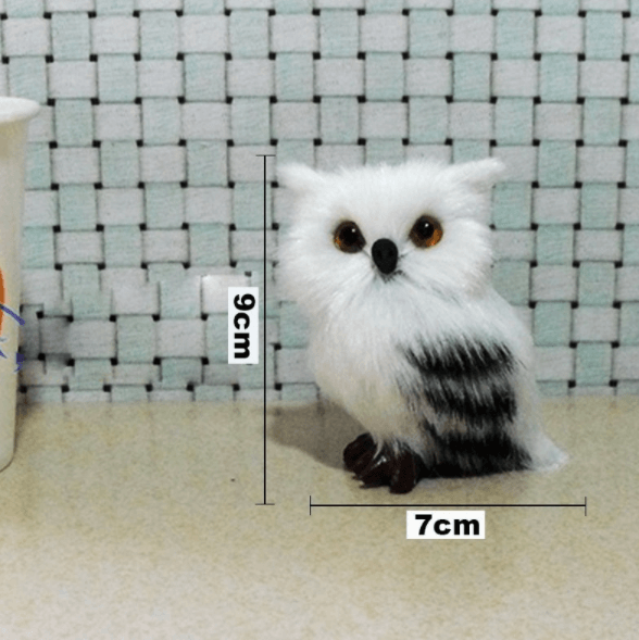 Sikunuo | Cute Owl Home Decor