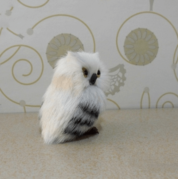 Sikunuo | Cute Owl Home Decor