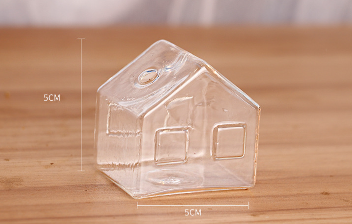Sikunuo | Simple Mini House Glass Flower Vase