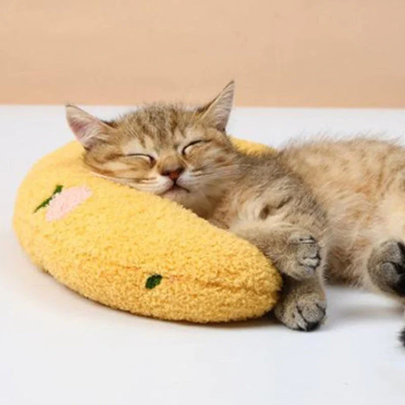 Cat Beautiful cozy pillow