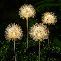 2-Pack: Outdoor Solar Dandelion Garden Lights