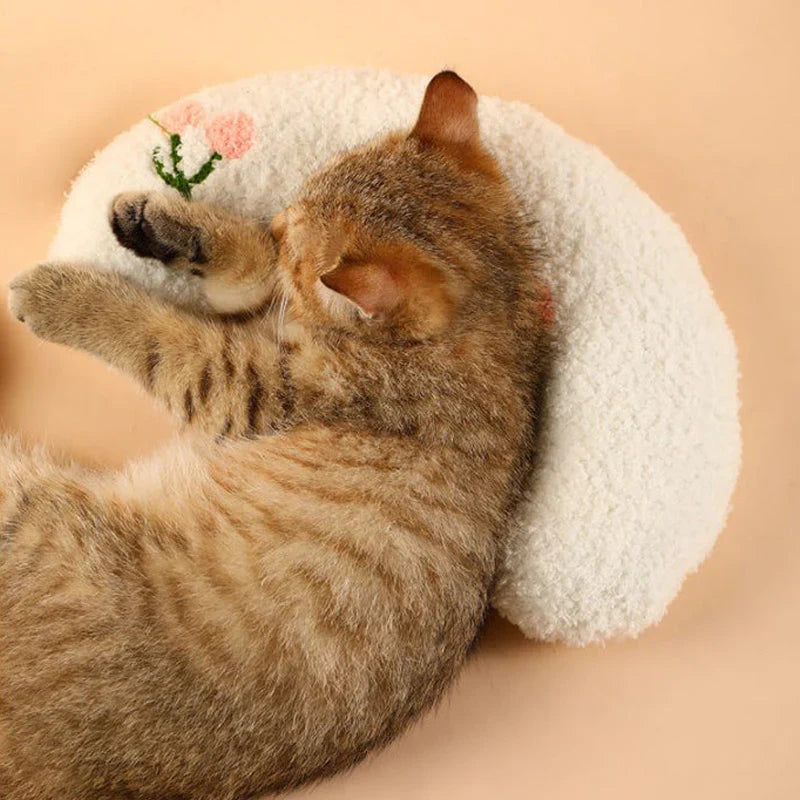 Cat Beautiful cozy pillow
