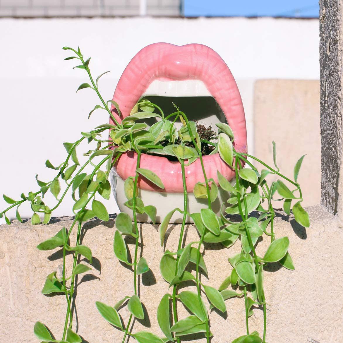 Lips Flower Pot