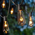 Royaleva Outdoor Dimmable String Lights - 20 ft LED Ambient Lighting
