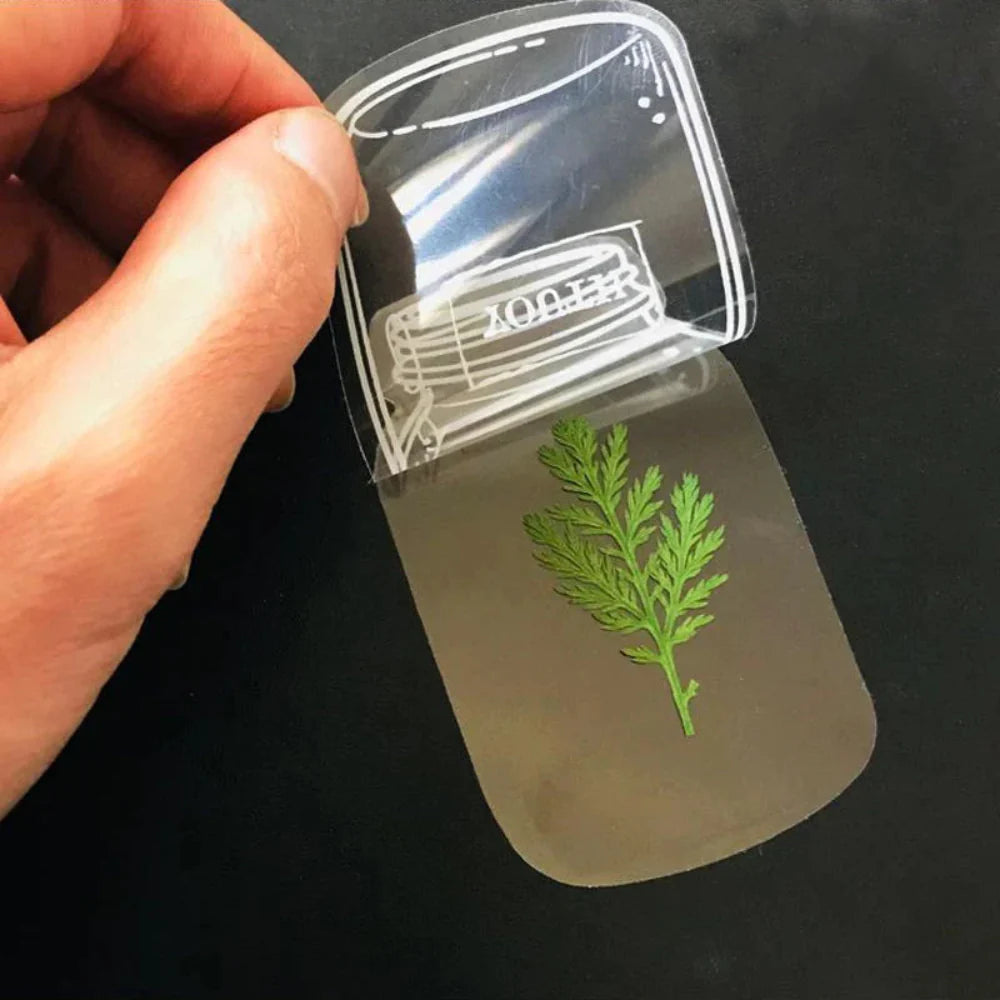Pressed Flower Transparent Bookmark Set