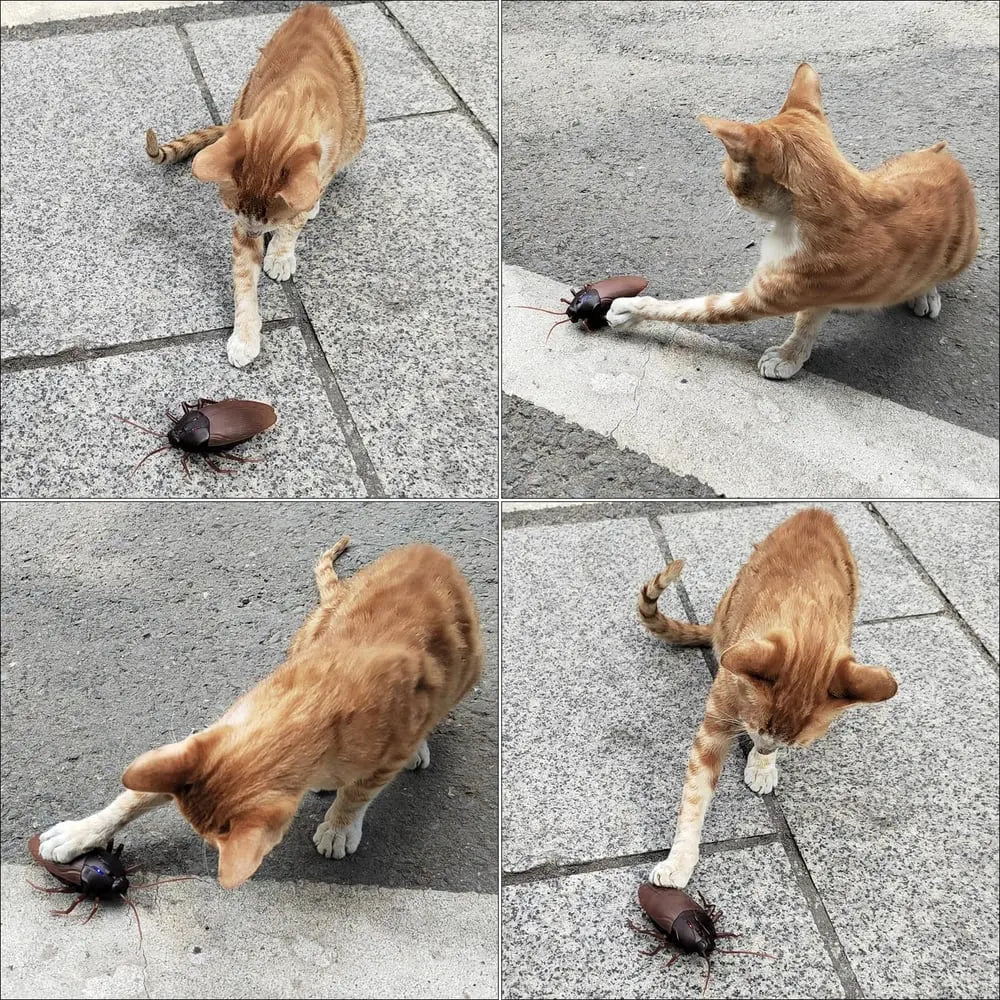 Remote-controlled Cockroach – Realistic Crawling Effect with Glowing Eyes