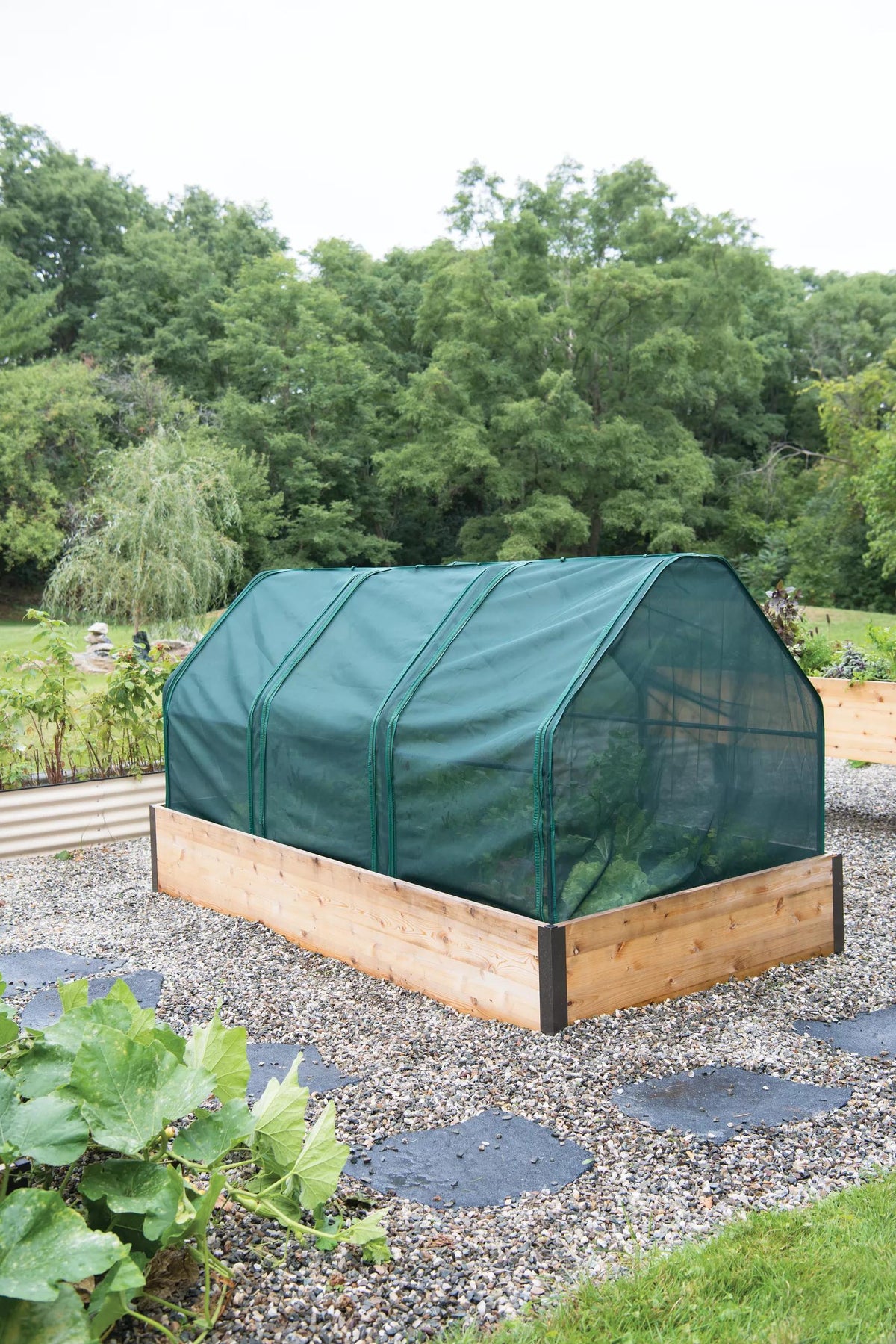 3-Season Plant Protection Tent, 4' x 8'