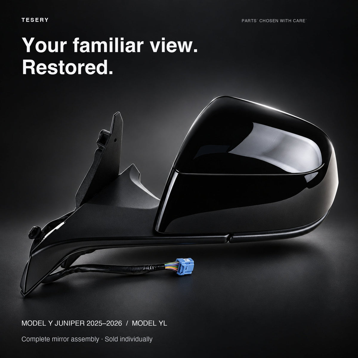 Side Mirror Assembly for Tesla Model Y Juniper & Model YL
