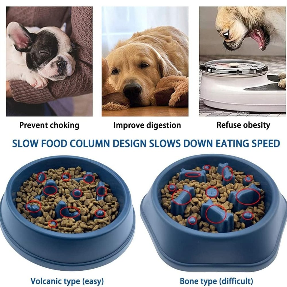 SlowBowl • Dog Feeding Bowl Slow