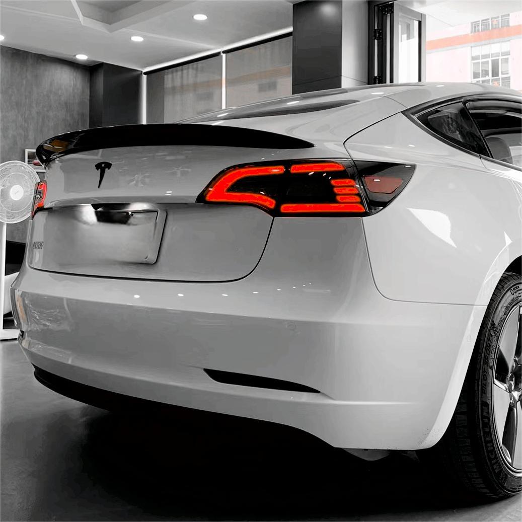Sikunuo Eagle Eye Taillight Upgrade for Model 3/Y